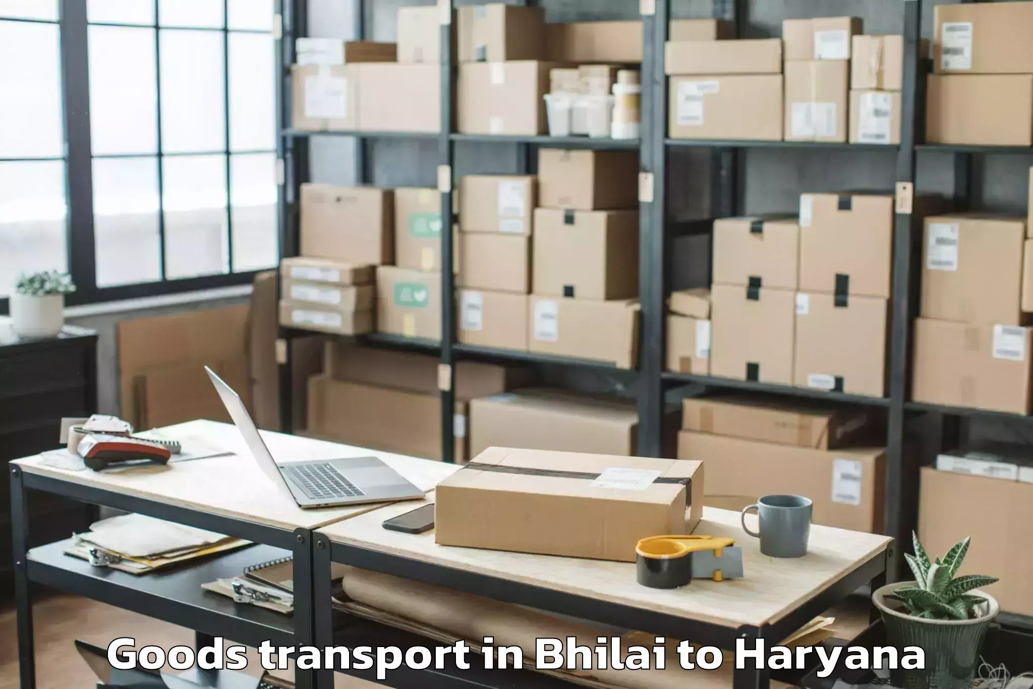 Leading Bhilai to Tauru Goods Transport Provider